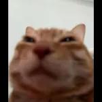 TF by TINKART STUDIO @inkart.drew