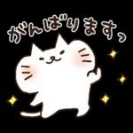 しろねこ♡まるのシンプルな日常挨拶