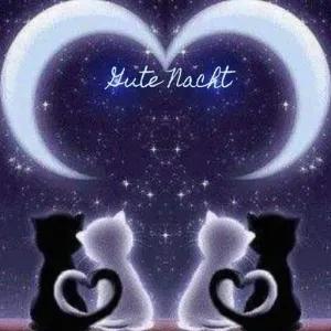 Gute Nacht - getsticker.com