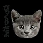 意外と使える！ネガティブなタイプの猫たち