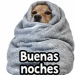 Eres especial
