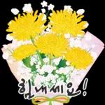 오늘은 꽃 주는 날