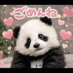 だいすきパンダ