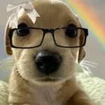 Stickers para añadir color a tus conversaciones