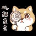 柴犬可愛諧音梗