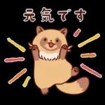 imananishiteru tanuki