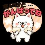 そっと寄りそうサモエド