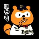 Buffaloes Ponta / Hipster