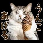 うんこ★リアルな猫