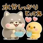 夏にかわいい♡豆柴日和