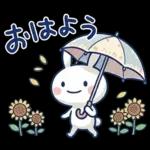 毎日使える夏☆ほぼ白うさぎ