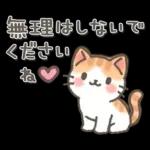 やさしい日常ことば♡ねこ