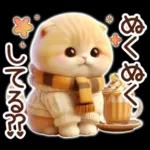 冬の猫のスコティッシュ【よく使う言葉】