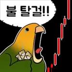 투자 전문가, 껄무새