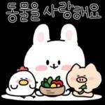 채식하는 토끼,비건이