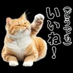 生成失敗猫【毒舌・煽り・煽る・シュール】