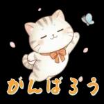ぽかぽか春ねこライフ