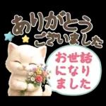 にゃんこ達の❤️気持ちたっぷり長文❤ねこ