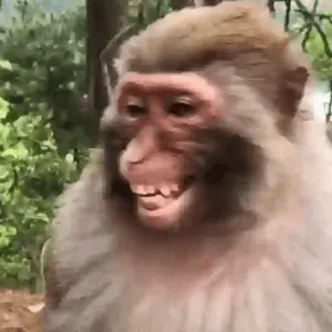 qkgUDF