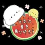 ゆるふわ♡夏のシマエナガさん