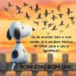 Bom dia!0/0 26
