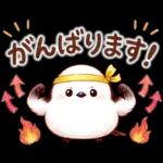 春のシマエナガ♪