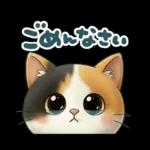 三毛猫の冬のあいさつ