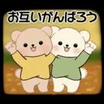 癒しを運ぶくまさん ♡ ほっこり秋