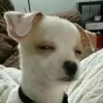 Padre cielo que estás en lo nuestro