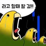 투자 전문가, 껄무새