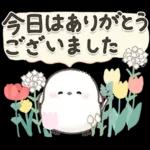 シマエナガの日常♡【気づかい・長文】
