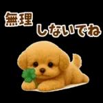毎日使える【挨拶★返事】トイプードル