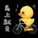 陰陽怪氣的小鴨鴨