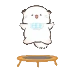 四毛與八毛 軟萌萌的小日常11