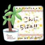 大人可愛い❤️シンプルキャラなし❤️