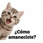dnsjzjxb