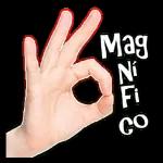 FIN DE RUTA AL 700 Hola, ¡llegué! mercado libre