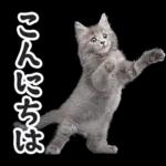 リアルな子猫ミーム（秋ハロウィン）