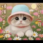 スコティッシュ猫 カラフル帽 夏 敬語