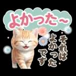 にゃんこ達の❤️気持ちたっぷり長文❤ねこ