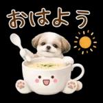 気持ち伝わる癒やしシーズー
