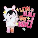 ใช้ได้ทุกแบบ