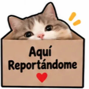 Aquí Reportándome - getsticker.com