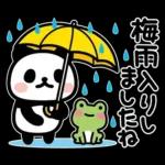 ぶなんなパンダ／お天気