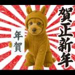 ウマの着ぐるみトイプードル【午年/2026】