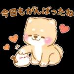 シマエナガといやしばいぬ❤️春/柴犬敬語
