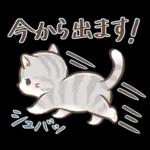 毎日使える♡大人可愛いガーリーキャット2