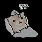작아요 고먕이