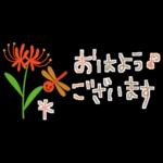 大人かわいい✳︎優しい秋色&気遣い