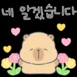 카피바라 카니의 상냥한 하루